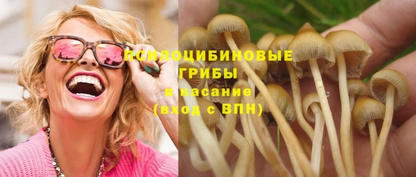 соль ск Бородино