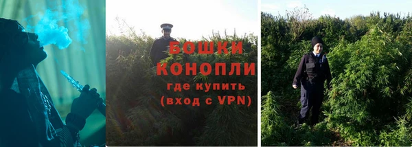 соль ск Бородино